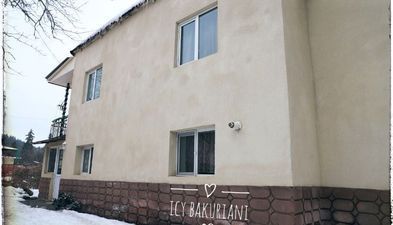 აისი ბაკურიანი_8